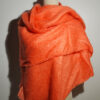 Corail