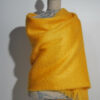 Tournesol