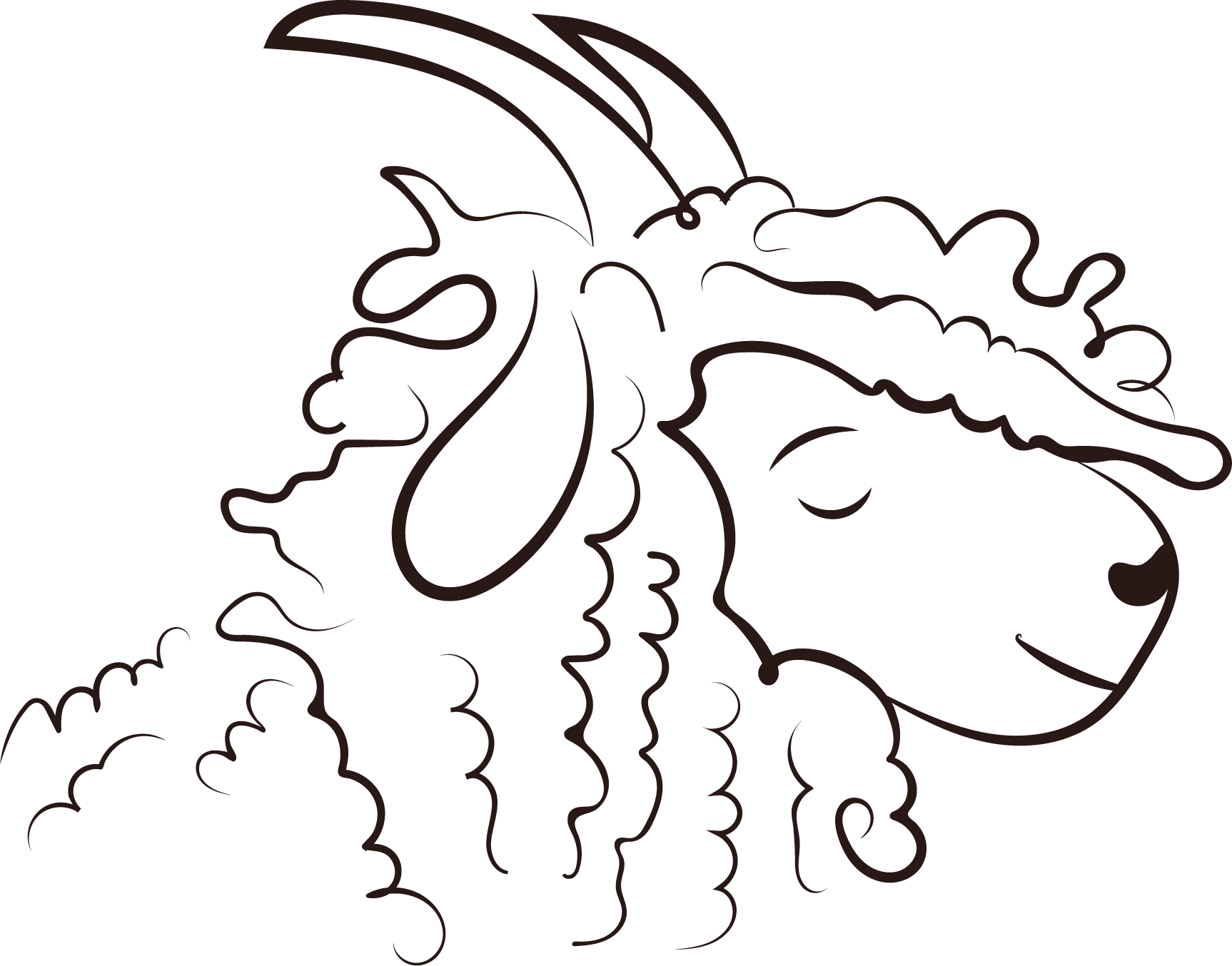 Mohair Pyrénées – Producteurs Français de Mohair