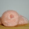 Rose Coton